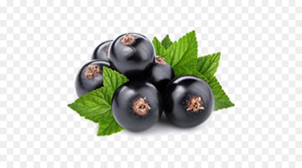 Черная смородина на белом фоне