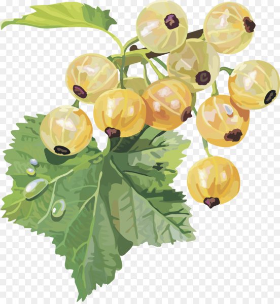 Смородина Крыжовниковая ягода белая