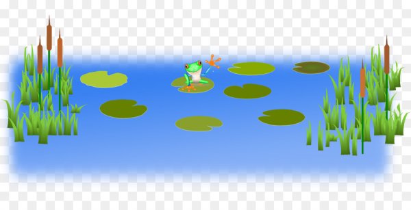 Болото на белом фоне