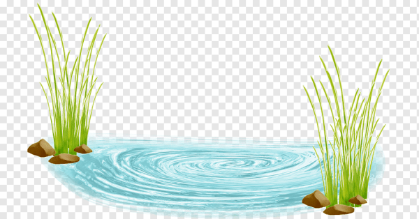 Водоем на белом фоне