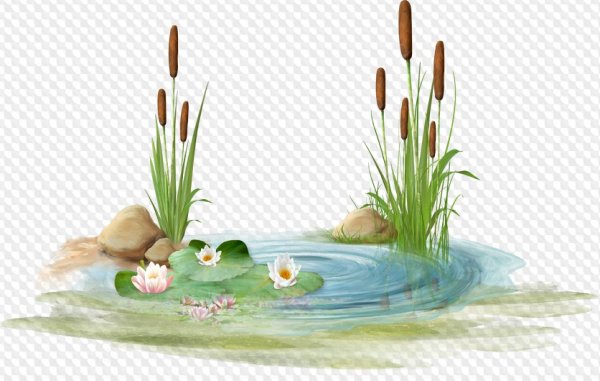 Водоем на белом фоне