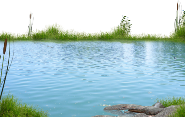 Водоем для фотошопа