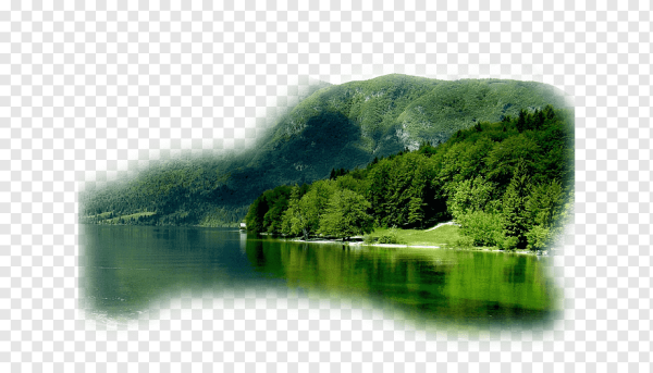 Озеро на белом фоне