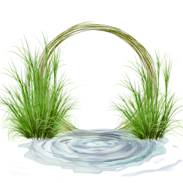 Водоем на прозрачном фоне