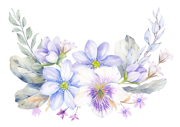 Акварельные веточки