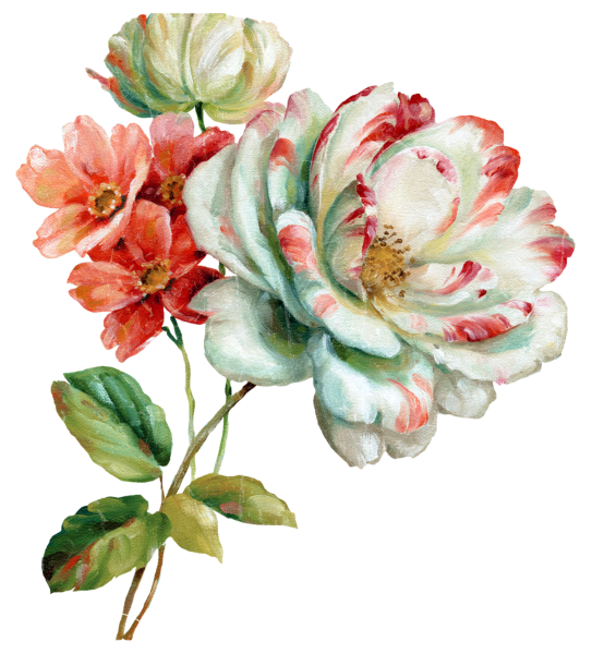 Акварельный орнамент на прозрачном фоне