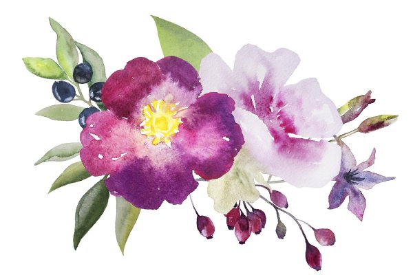 Акварельные цветы на прозрачном фоне
