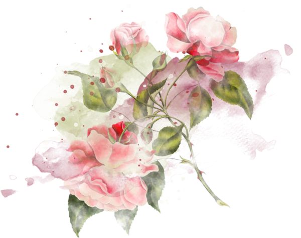 Акварельные цветы на белом фоне