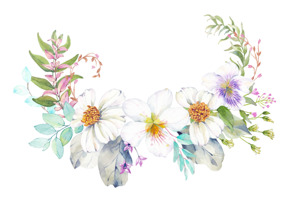 Цветы иллюстрация