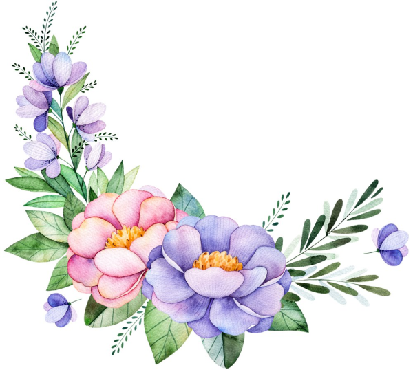 Цветы акварель клипарт