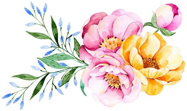Акварельные цветы