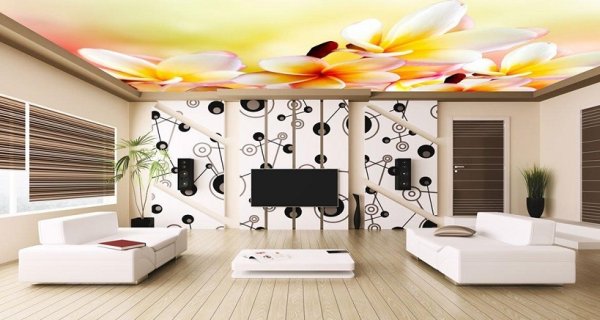 Натяжной потолок с фотопечатью в гостиную