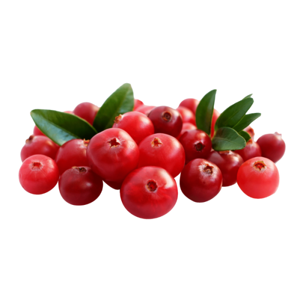 Клюква и брусника