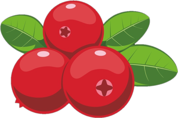 Клюква рисунок