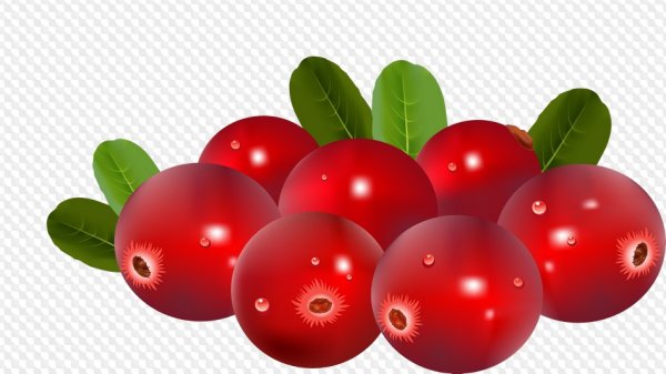 Брусника вектор