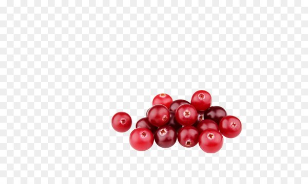 Брусника ягода на прозрачном фоне