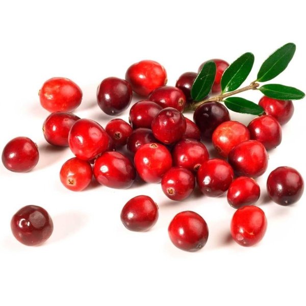 Антиоксидант брусника