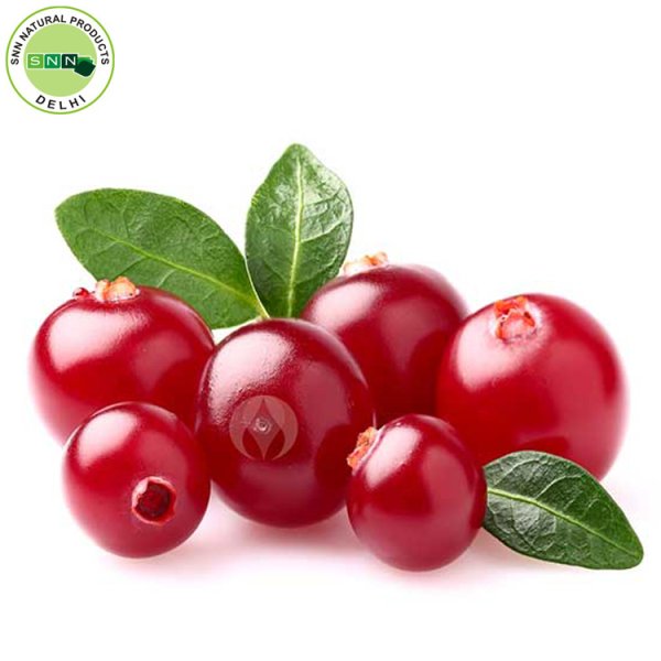 Клюква ягода