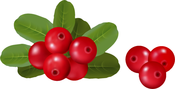 Группа Брусничка