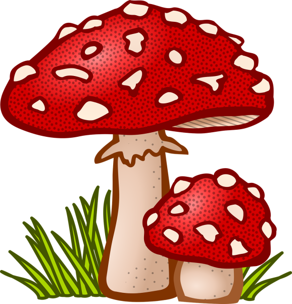 Мухомор мультяшный