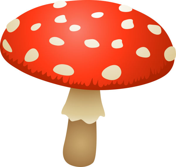 Грибы (мухомор, поганка)- для дошкольников