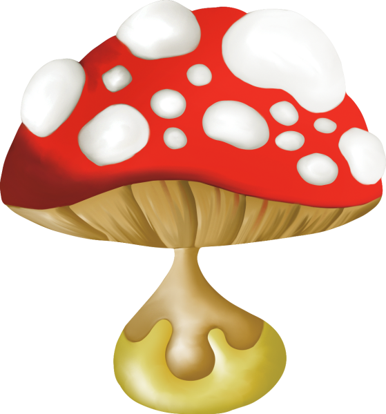 Мухомор на прозрачном фоне