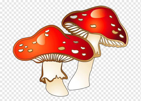 Мухомор для дошкольников