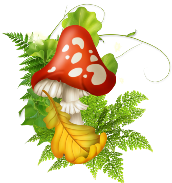 Сказочный мухомор