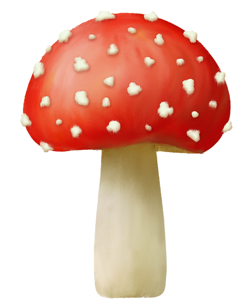Мухомор на белом фоне