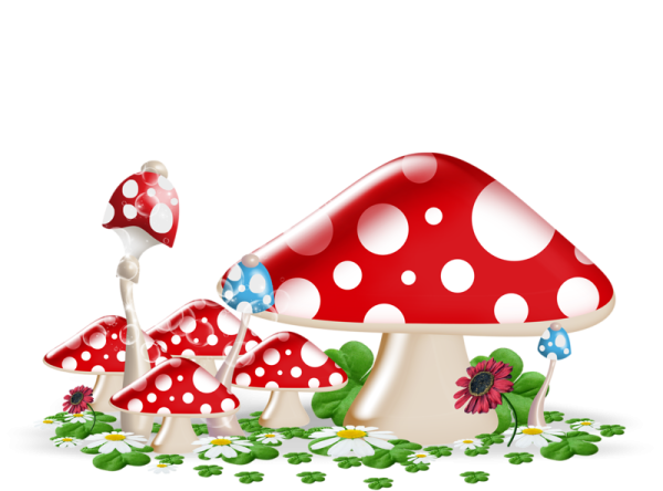 Алиса в стране чудес мухомор