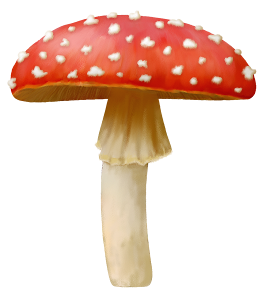 Гриб мухомор