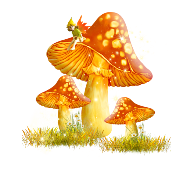 Осенние грибы на прозрачном фоне