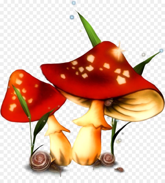 Сказочные грибочки