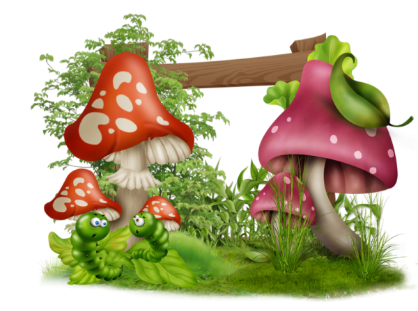 Сказочный мухомор