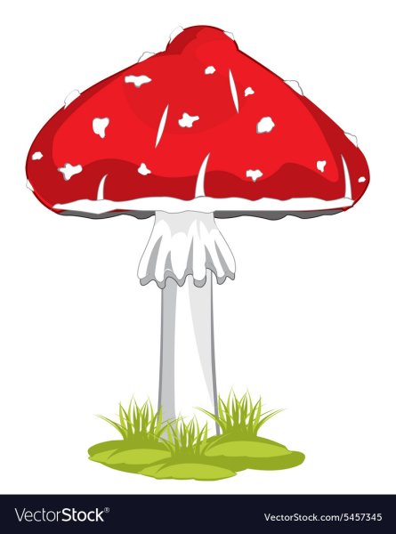 Мухомор гача на белом фоне