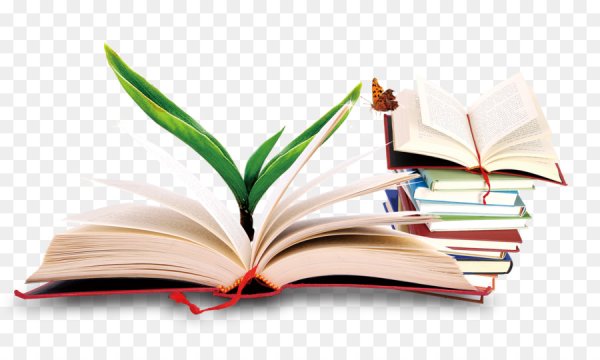 Раскрытая книга знаний