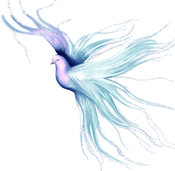 Птица счастья на прозрачном фоне