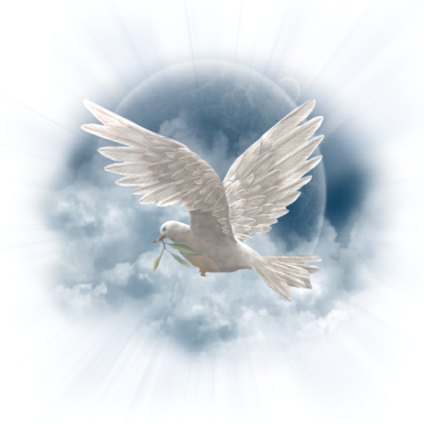 Божий голубь