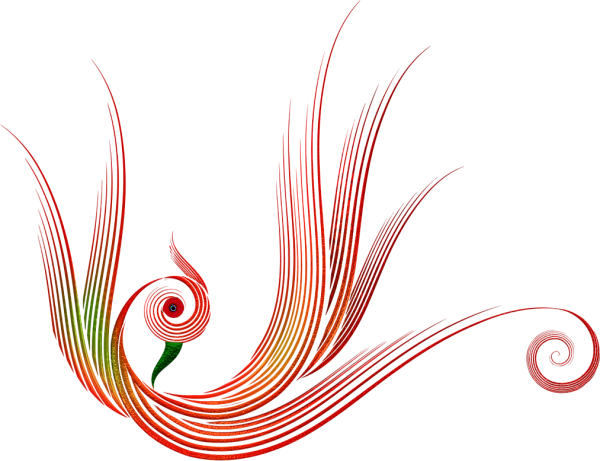 Красивые линии