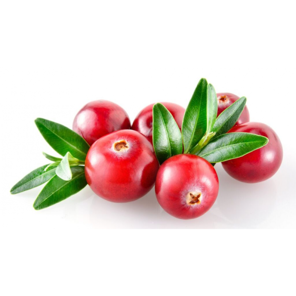 Клюква и брусника