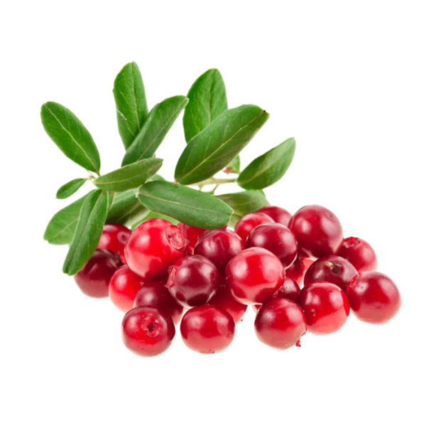Cranberries ягода