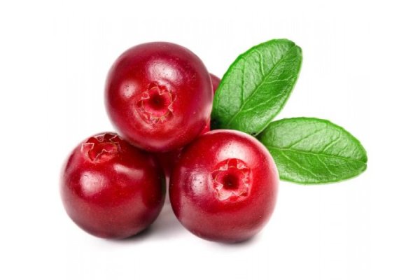 Клюква ягода