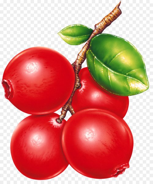 Клюква мультяшная