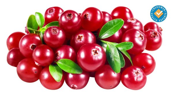 Белая клюква