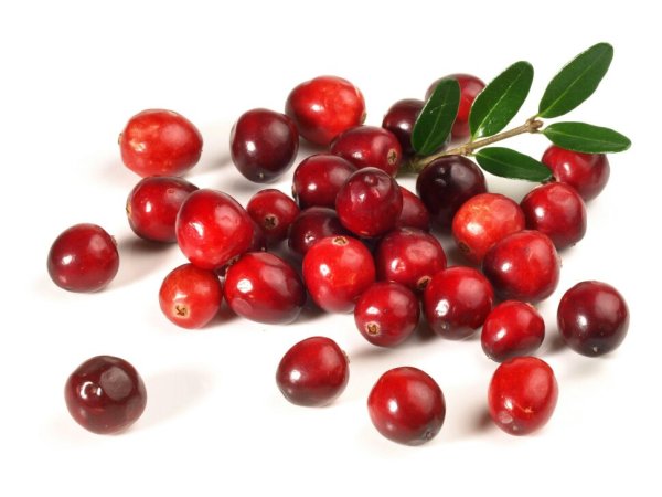 Cranberries ягода