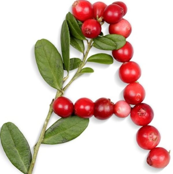 Брусника щавелевая кислота