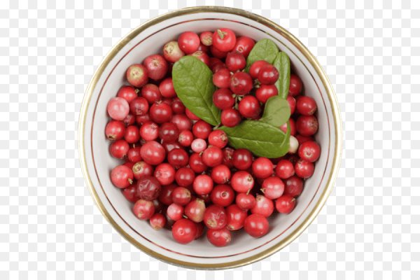 Красная брусника прозрачная