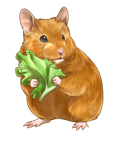 Хомяк мультяшный