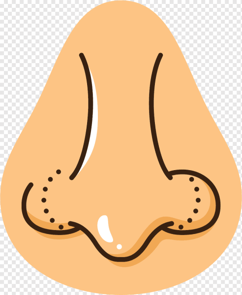 Векторный нос