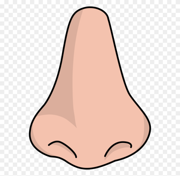 Мультяшные носы